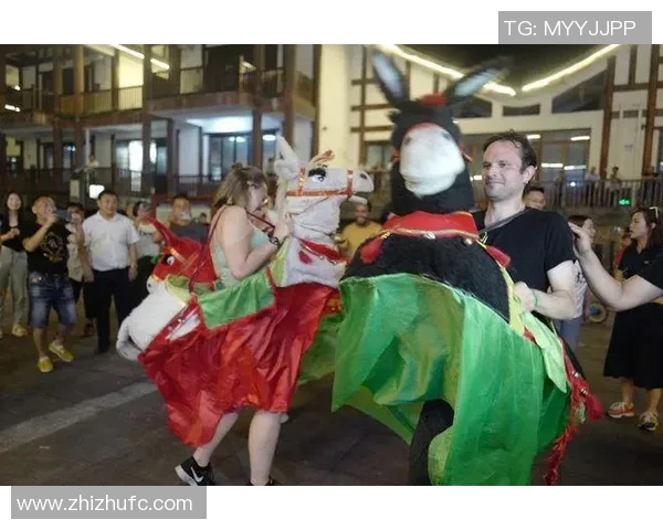 歧阜与赞歧的对话：探讨文化差异与交流的深层意义